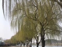 -济南国际园博园