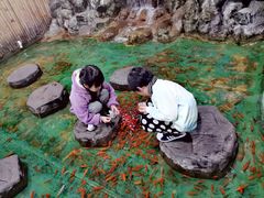 -上海大自然野生昆虫馆(东方明珠·爬宠昆虫探索中心)