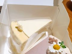 茉莉花千层-双风车咖啡馆 Twin Windmills(六道口店)