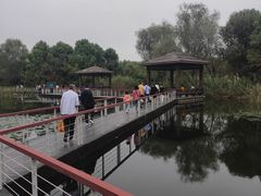 -同里国家湿地公园