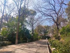 -北极阁公园