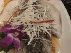 -刘胖子家常菜·蹄花焖藕(中南店)
