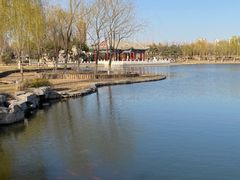 -西海子公园