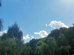 -黑龙江省森林植物园