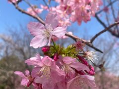 -凤凰沟景区