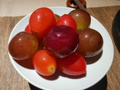 -梅花境(万科店)