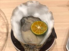 -鲤·鮨KOISUSHI