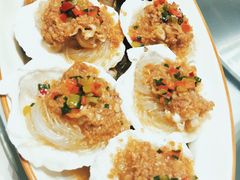 扇贝-胡桃里音乐酒馆(下沙店)