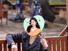 -世界恐龙谷景区