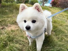 -天虹购物中心(深圳龙华店)