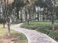 -后襄河公园