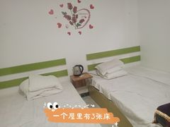 -仙人岛