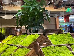 -新辣道鱼火锅(国瑞城店)