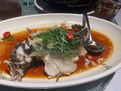 -老伙记海鲜码头(北滘店)