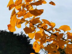 -中共上海市委党校 上海行政学院