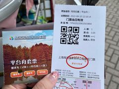 -上海海湾国家森林公园