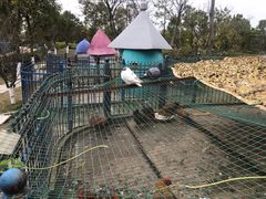 -上海滴水湖皇冠假日酒店