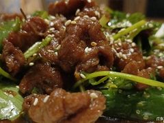 -金苑酒家·客家菜·广东老字号(万象店)