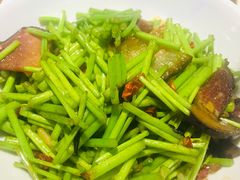 藜蒿炒腊肉-70年代·江西乡下菜(松岗店)