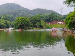 -广州市帽峰山景区