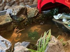 -綱元·海鲜豆捞(明州里店)