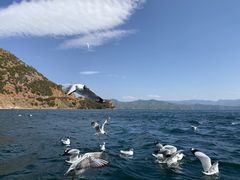 -丽江泸沽湖景区