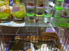 -双季花艺园艺市场(浦东店)