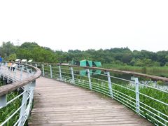 -西湖风景区-江洋畈生态公园
