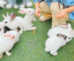 -萌宠亲子动物乐园(槐房万达店)