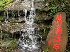 -中国大熊猫保护研究中心雅安碧峰峡基地