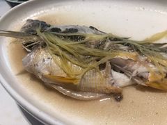 黄花滑-花城苑广府菜(侨鑫店)