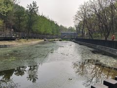 -白水寺森林公园