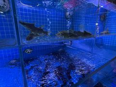 -胖子烧烤海鲜(亲贤北街店)