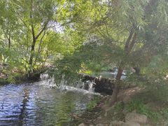 -长白岛森林公园