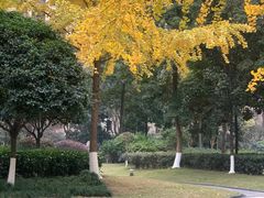 -成都南湖公园