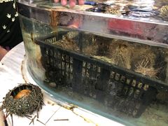 -青石桥市场北1-27号