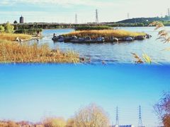 -永定河休闲森林公园