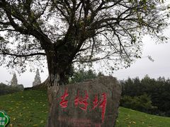 -邓小平故里