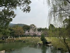 -宁波九龙湖开元度假村