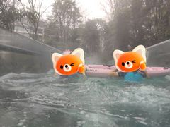 -花水湾第一村温泉大酒店