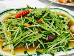-T&K 海鲜