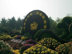 -西清公园