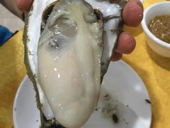 -蚝专家(北滘店)