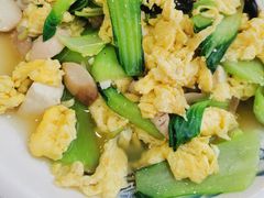 -陶然饺子城(奥体中路店)