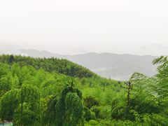 -江南天池