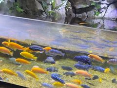 -顺德南宏海立方海洋公园