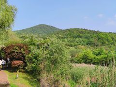 -石塘人家
