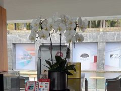 -日落吧·海景咖啡厅·餐酒吧·鸡尾酒·下午茶·乐队表演·浪漫夕阳·三亚文华东方酒店