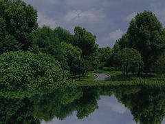 -泰煌鸡·上海白斩鸡·鸡汤面(万航店)