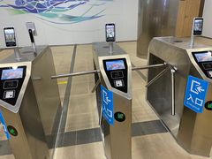 -重庆市奥林匹克体育中心-游泳跳水馆